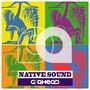 Native Sound (Original Mix)