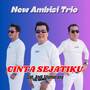 Cinta Sejatiku