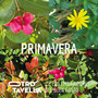 Primavera