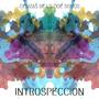 Introspección