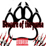 Beware of the puma (Explicit)