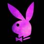 Playboy! (Explicit)