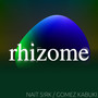 rhizome