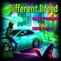 Different Breed (Explicit)