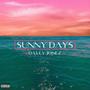 Sunny Days (feat. Omari Night)