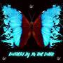 Butterfly In The Dark (Explicit)