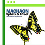 Machaon (Aurosonic 2008 Remix)