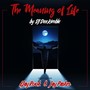 The Meaning of Life (feat. Jay Parker & Ejay Rook)