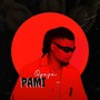 PAMI