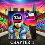 Chapter 1 (Explicit)