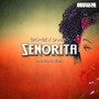 Senorita (Amapiano Remix)