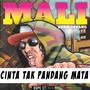 Cinta Tak Pandang Mata