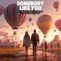 Somebody Like You (feat. rainage)