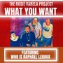 What You Want (feat. Who Is Raphael Leraux)