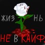 Жизнь не в кайф (Explicit)