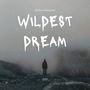 Wildest Dreams