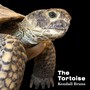 The Tortoise