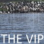 The VIP