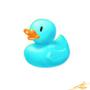 Blue Duck 2