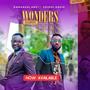 WONDERS WITHOUT NUMBER (feat. Gospel David)