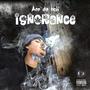 Ignorance (Explicit)