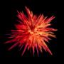 Luminescence