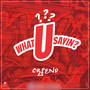 What U Sayin? (Explicit)