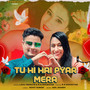 TU HI HAI PYAAR MERA (LOVE SONG 2025) [Explicit]