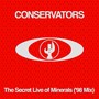 The Secret Life of Minerals ('98 Mix)