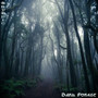 Dark Forest