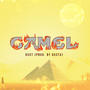 Camel (Explicit)