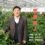 想爱某人