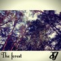 The forest