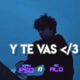 Y Te vas