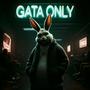 GATA ONLY (SLOWED) [Explicit]