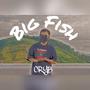 Big Fish (Explicit)