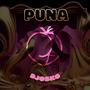 PUNA (Explicit)