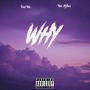 Why (feat. Tre $tyles) [Explicit]