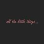 All The Little Things (Explicit)