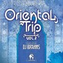 Oriental Trip, Vol. 2 (Compiled by DJ Brahms)