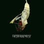 METAMORPHOSE (Explicit)