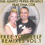 Free Yourself-the Remixes