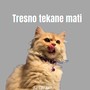 Tresno Tekane Mati