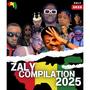 Zaly compilation 2025 (1er décembre) (feat. Ras hivo, Savio flex, Dj impérial, Sagno familly, Afro kpèlè, Mister samy, King safarel, Koldji first & F boy)