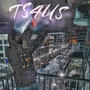TS4US (Explicit)