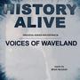 History Alive Voices of Waveland (Original Motion Picture Soundtrack)