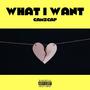 What I Want (Explicit)