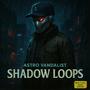 Shadow Loops
