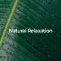 Natural Relaxation: Music and Sounds for Sleep