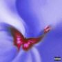 NO VENT (feat. Freddy Wick) [Explicit]